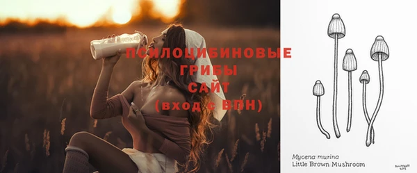 дурь Алексеевка