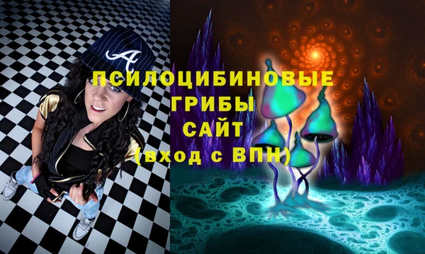 дурь Алексеевка